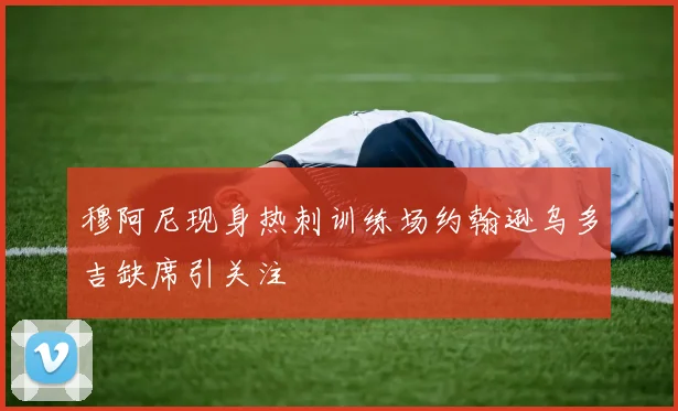 穆阿尼现身热刺训练场约翰逊乌多吉缺席引关注