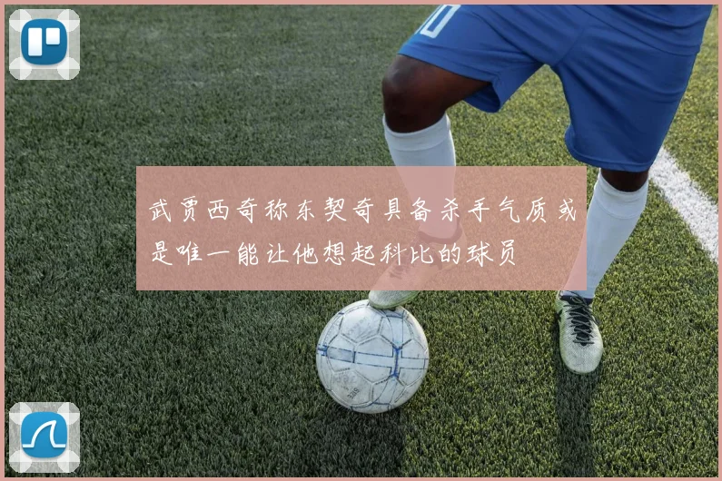 武贾西奇称东契奇具备杀手气质或是唯一能让他想起科比的球员