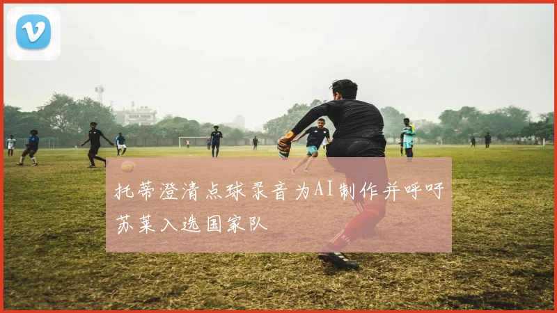 托蒂澄清点球录音为AI制作并呼吁苏莱入选国家队