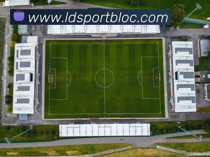 乐动足球平台生态图