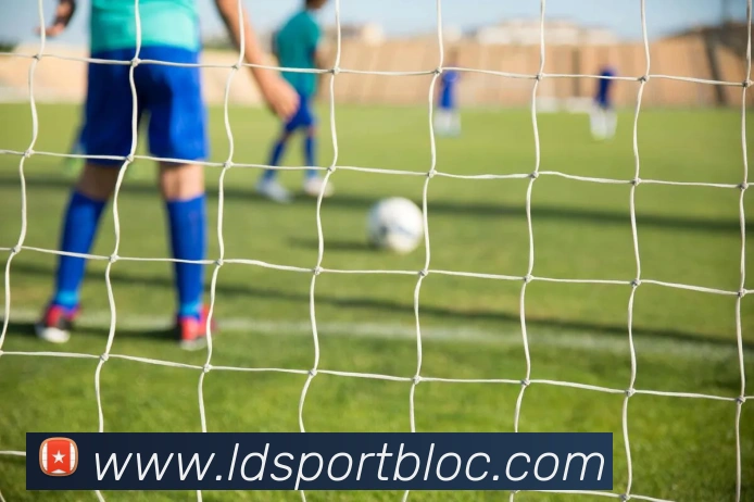 数据防护可视化