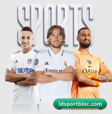 本站五个常用功能入口,赛程查询路径更短 - LDSPORTS